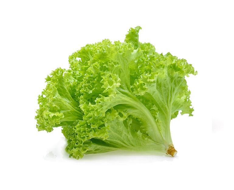 Ulam_5