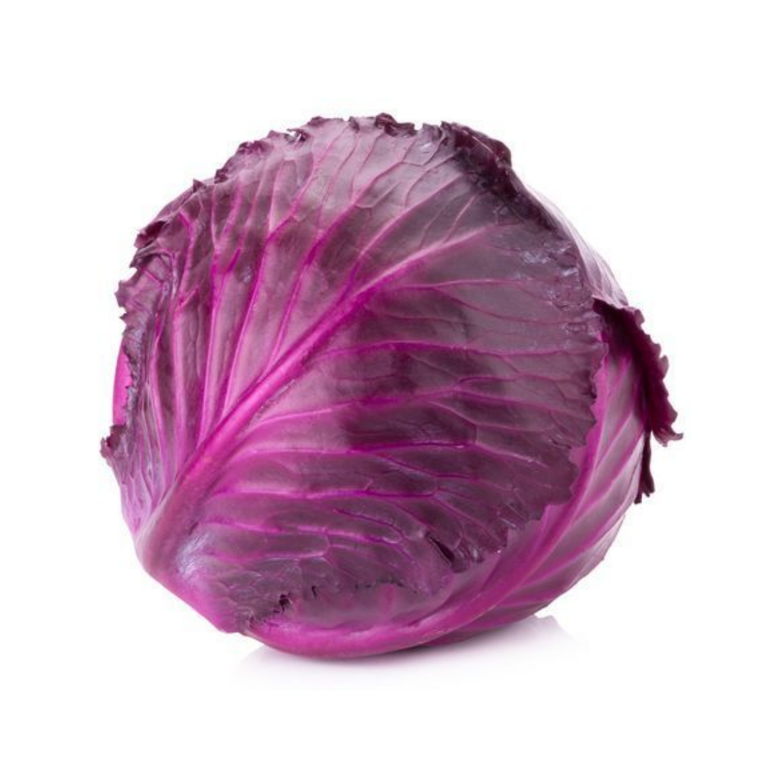 Cabbage Purple - 1 PC _0