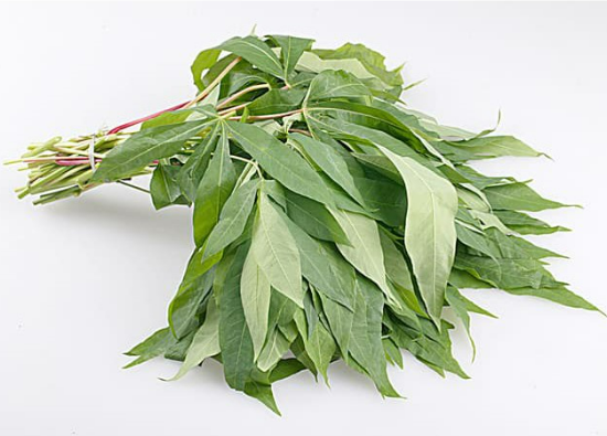 Daun Singkong_0