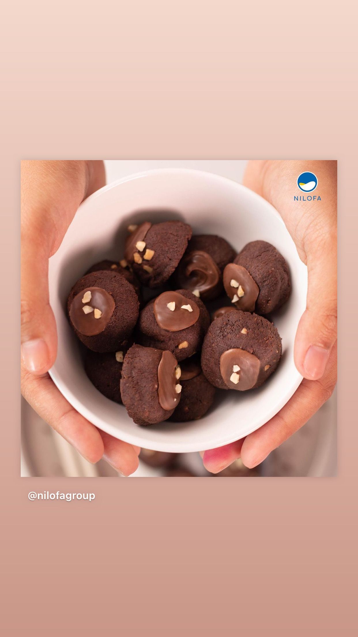 Nilofa bites_0