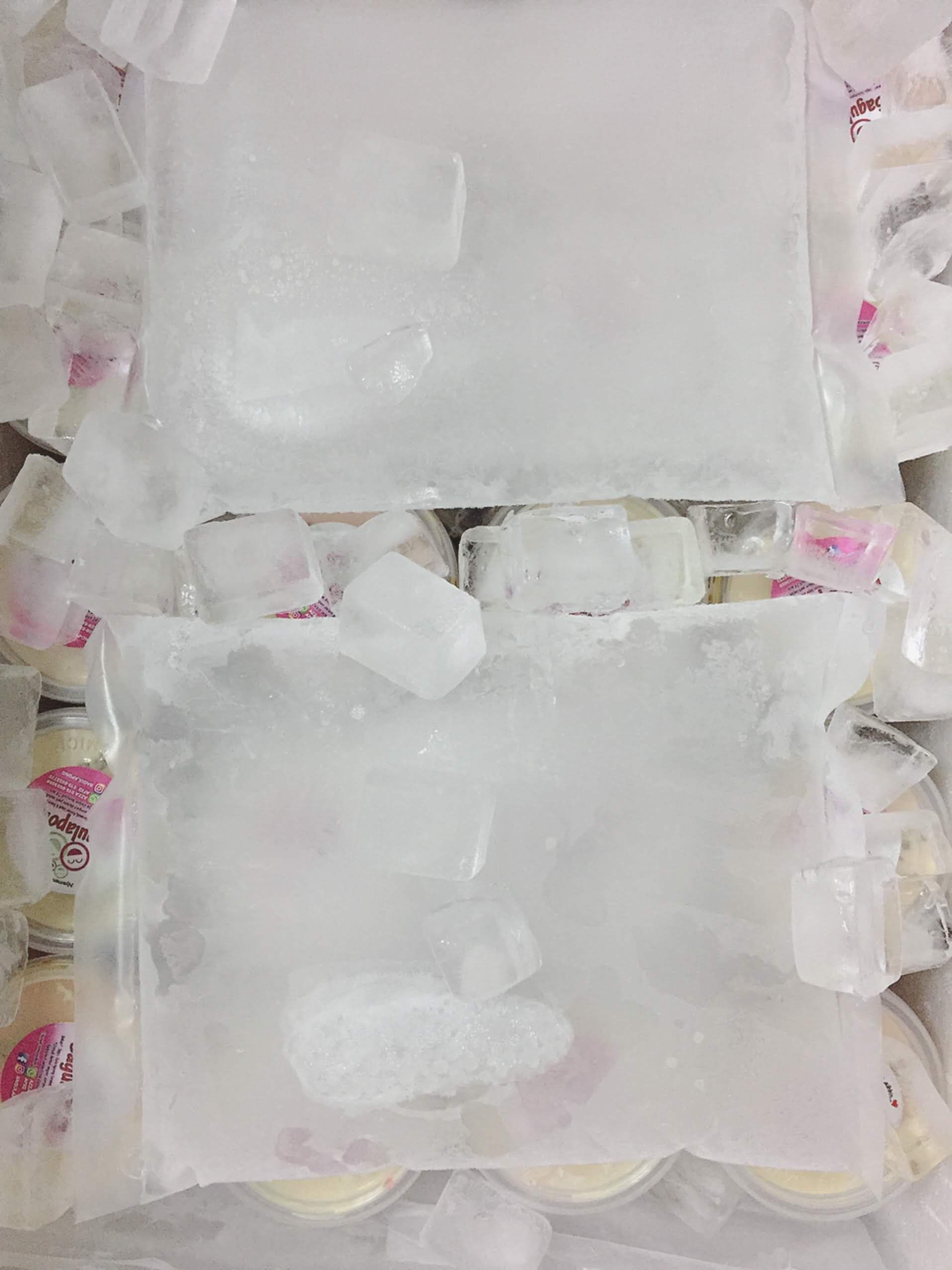 Foam Box + ice packs + ice cubes _0