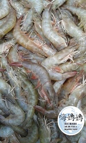 Live Prawn 活虾_0