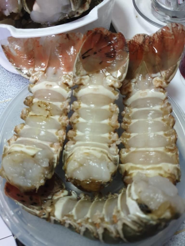 🦞Lobster🦞 *HOT!*_3