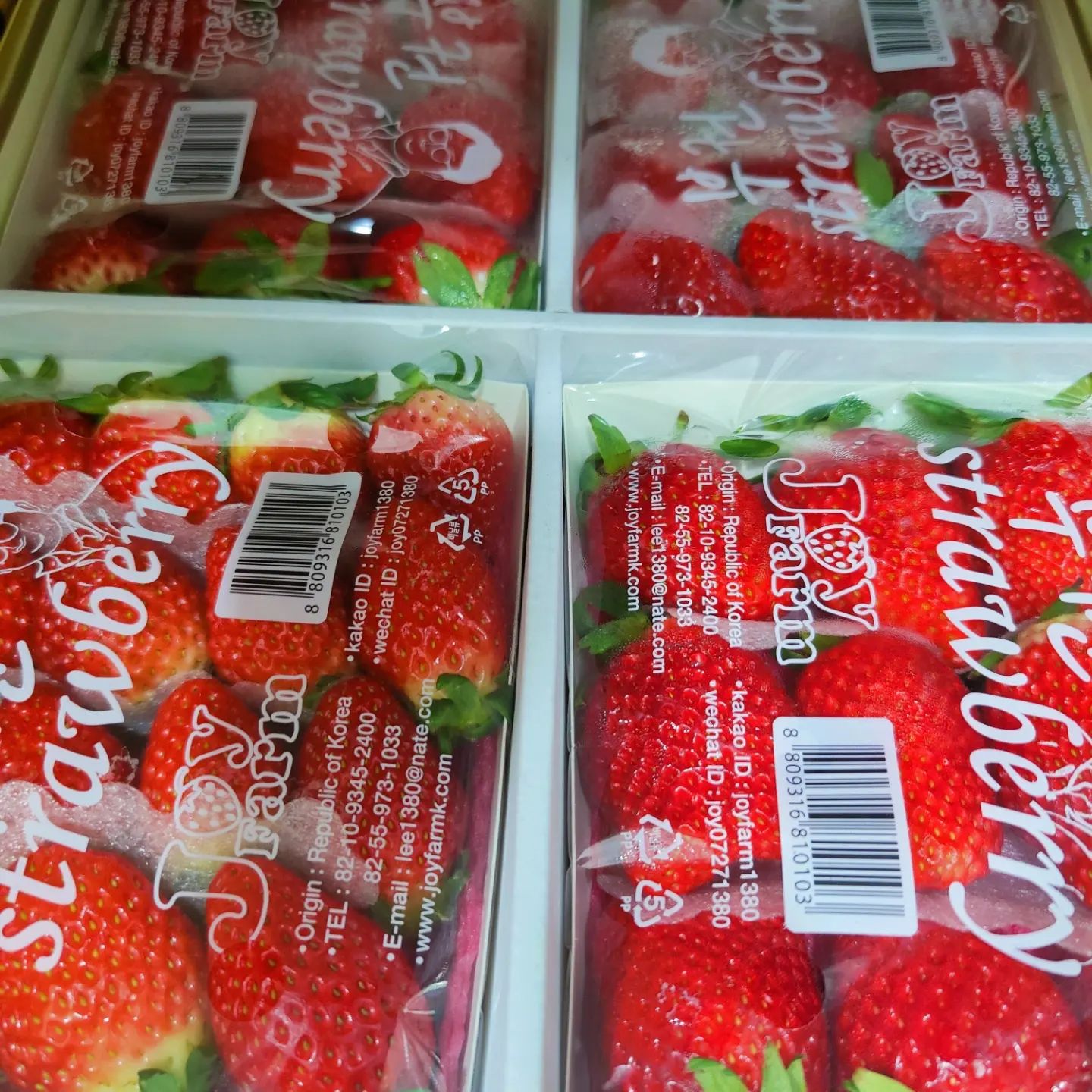 Premium! Korea JOY Seolhyang Strawberries (330g)_3