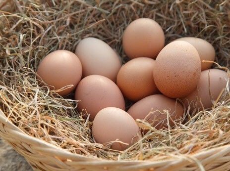 CHICKEN EGG / TELUR AYAM 鸡蛋_0