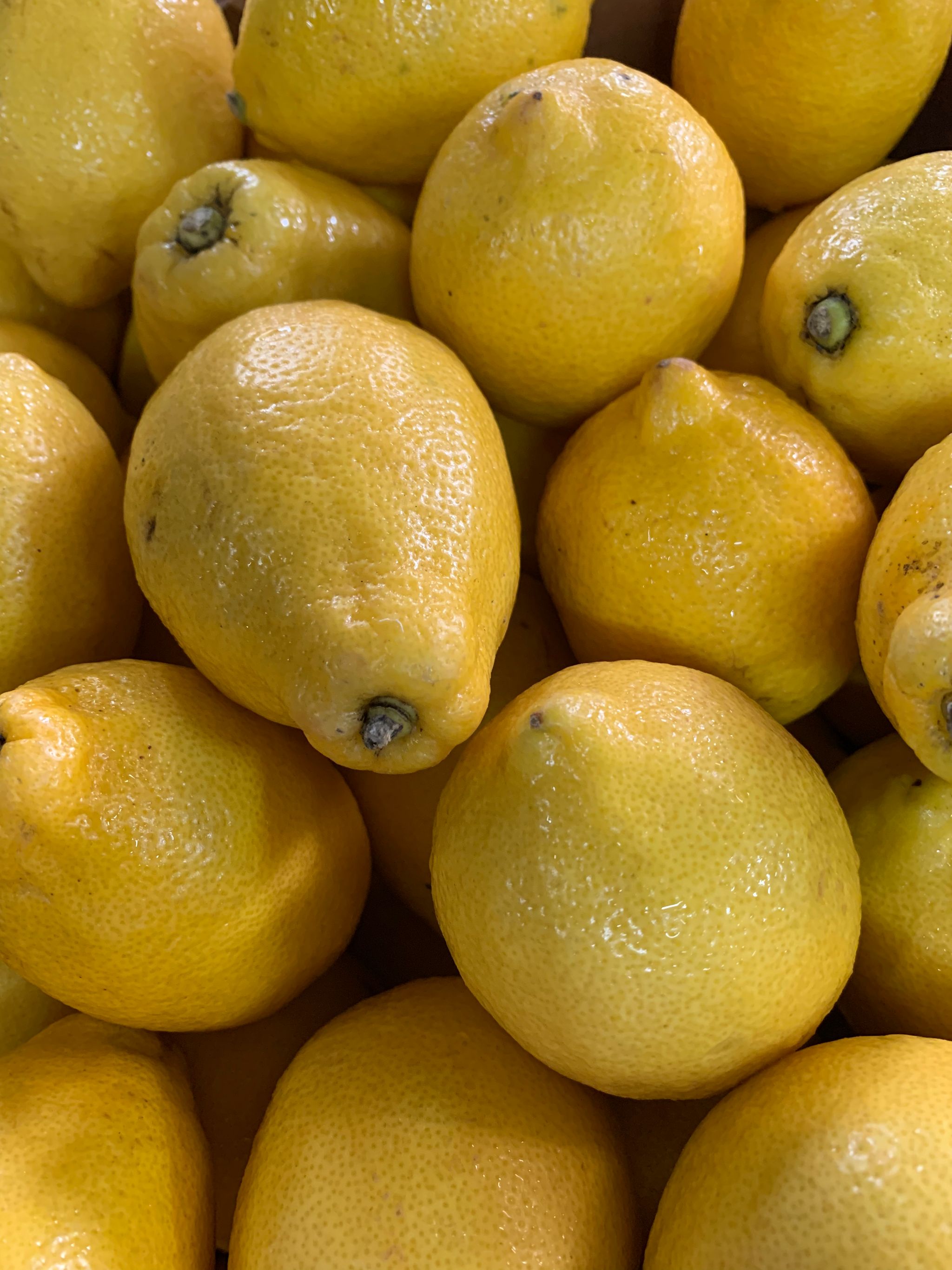 Lemon_0