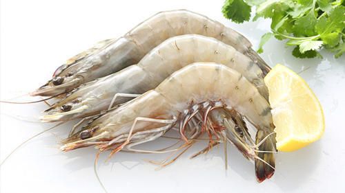 Prawns (Chemmeen)_0