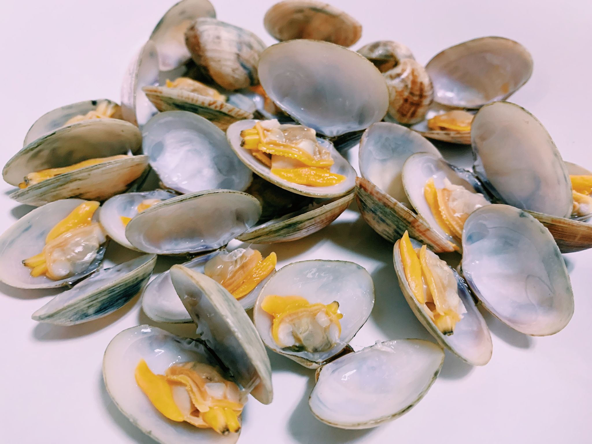 Clams _0