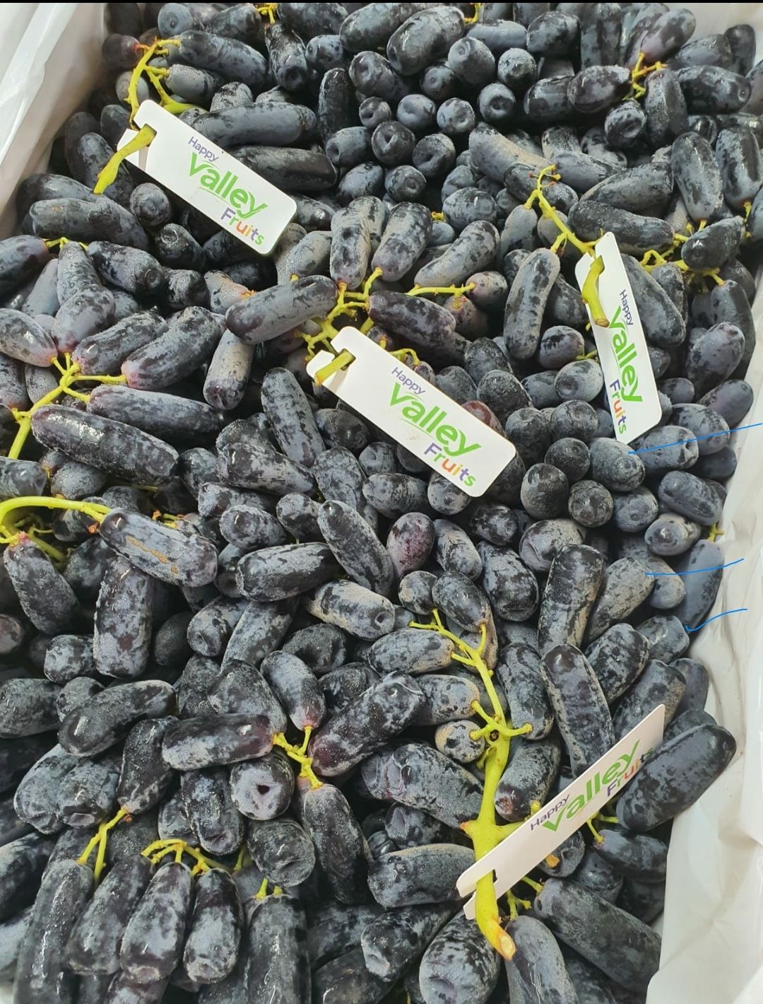 🍇Aust Adora Sweet Big Grapes 1kg_1