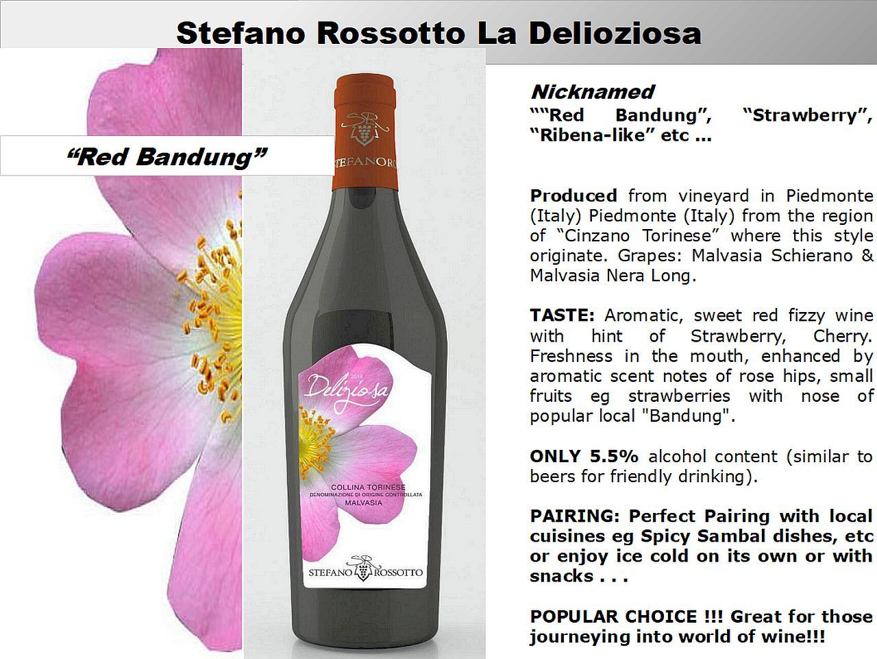 LO-ALCOHOL CASUAL WINE SET_2