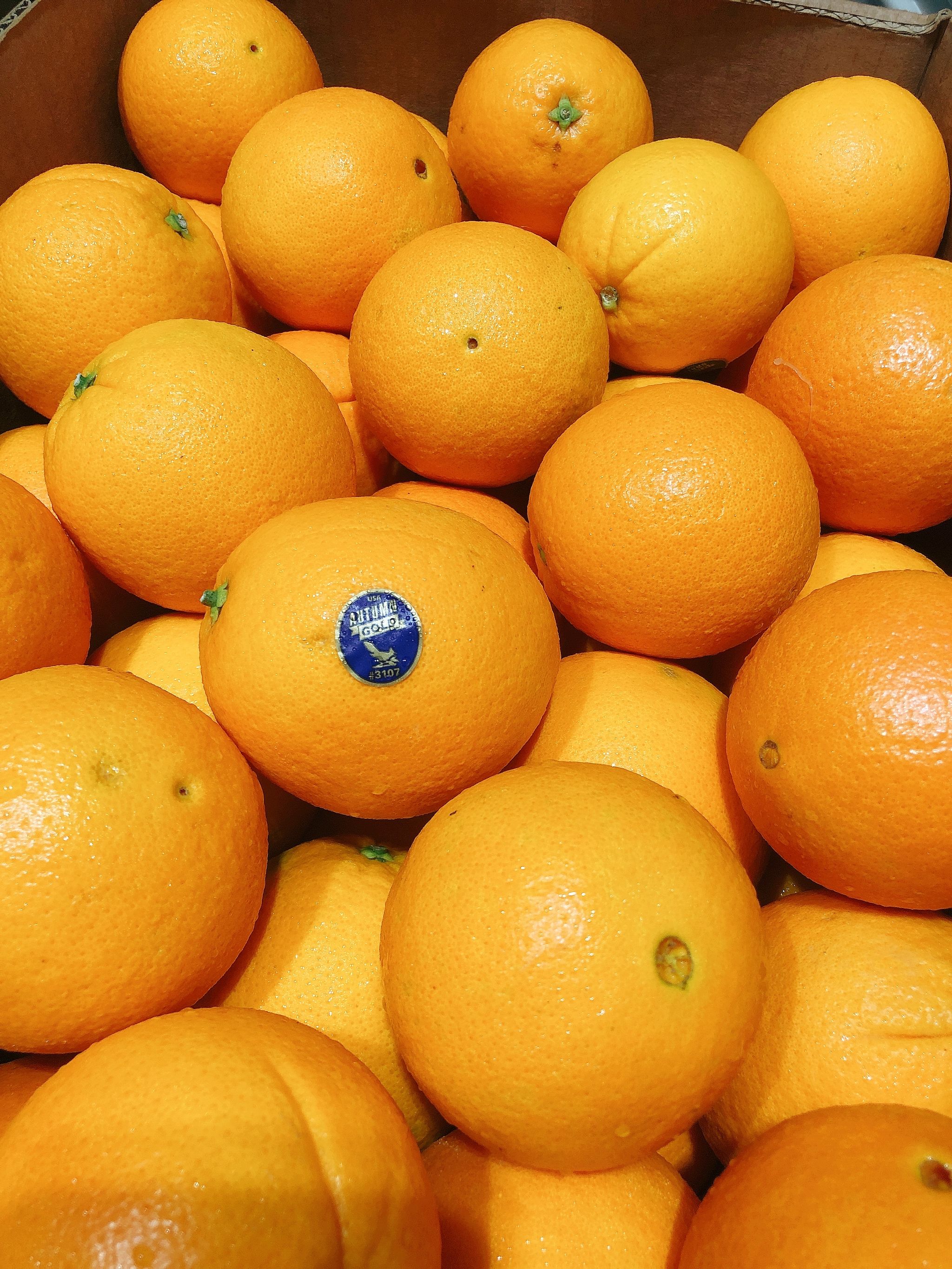 USA Navel Orange Jumbo (Purespec)_0