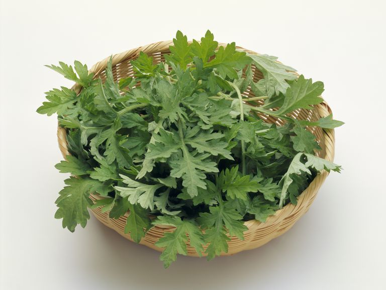 Mugwort (Pre Order Pack - 250grams to 300 grams) - 艾草_0