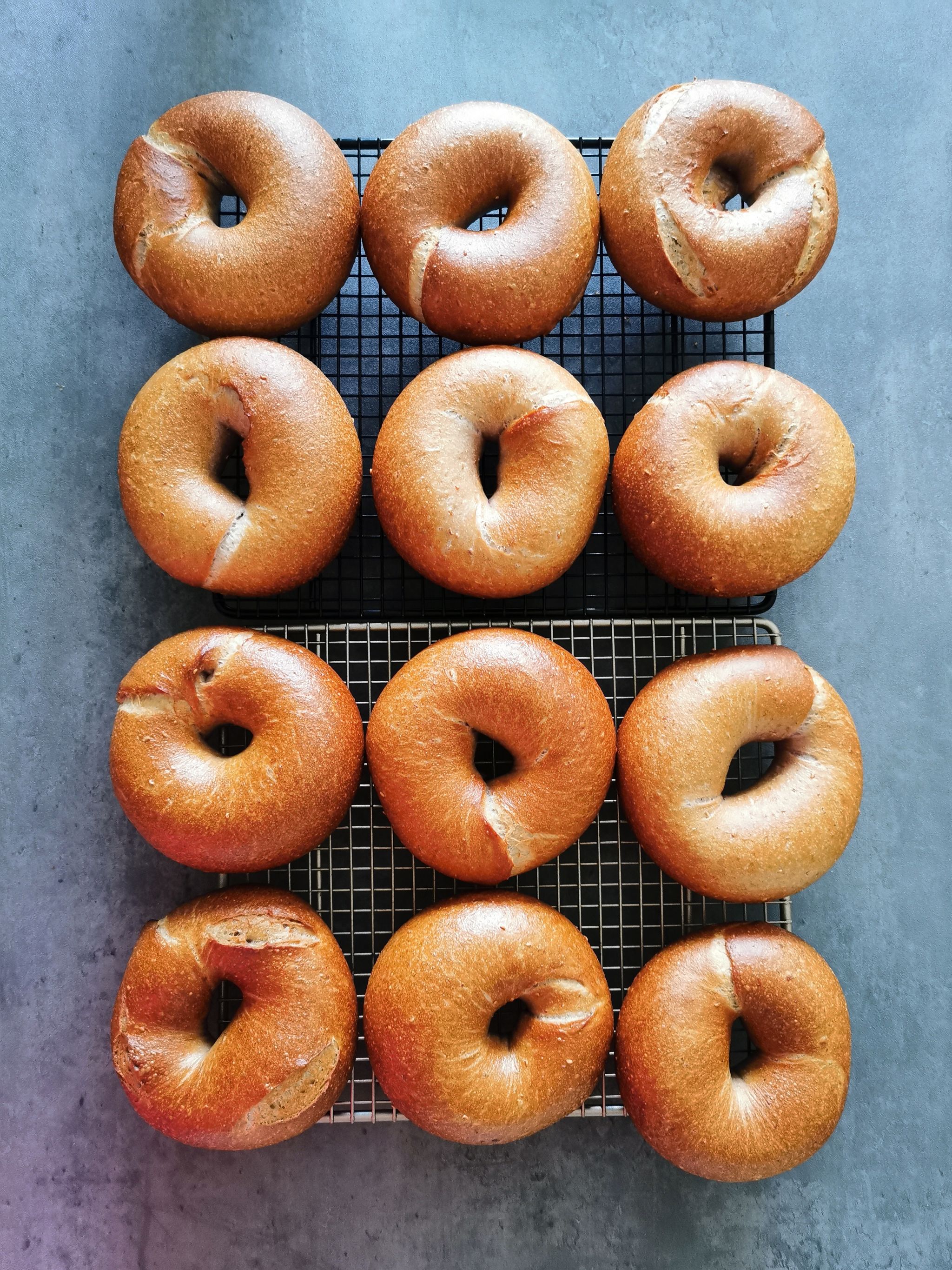 Bagels (Set of 3)_0