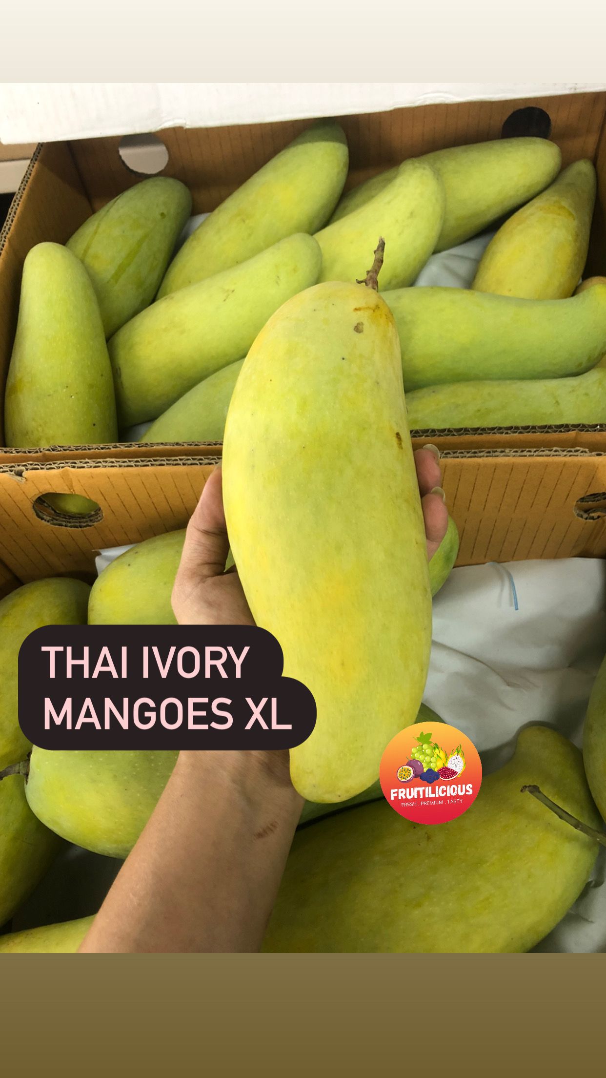 THAI IVORY MANGOES XL_0
