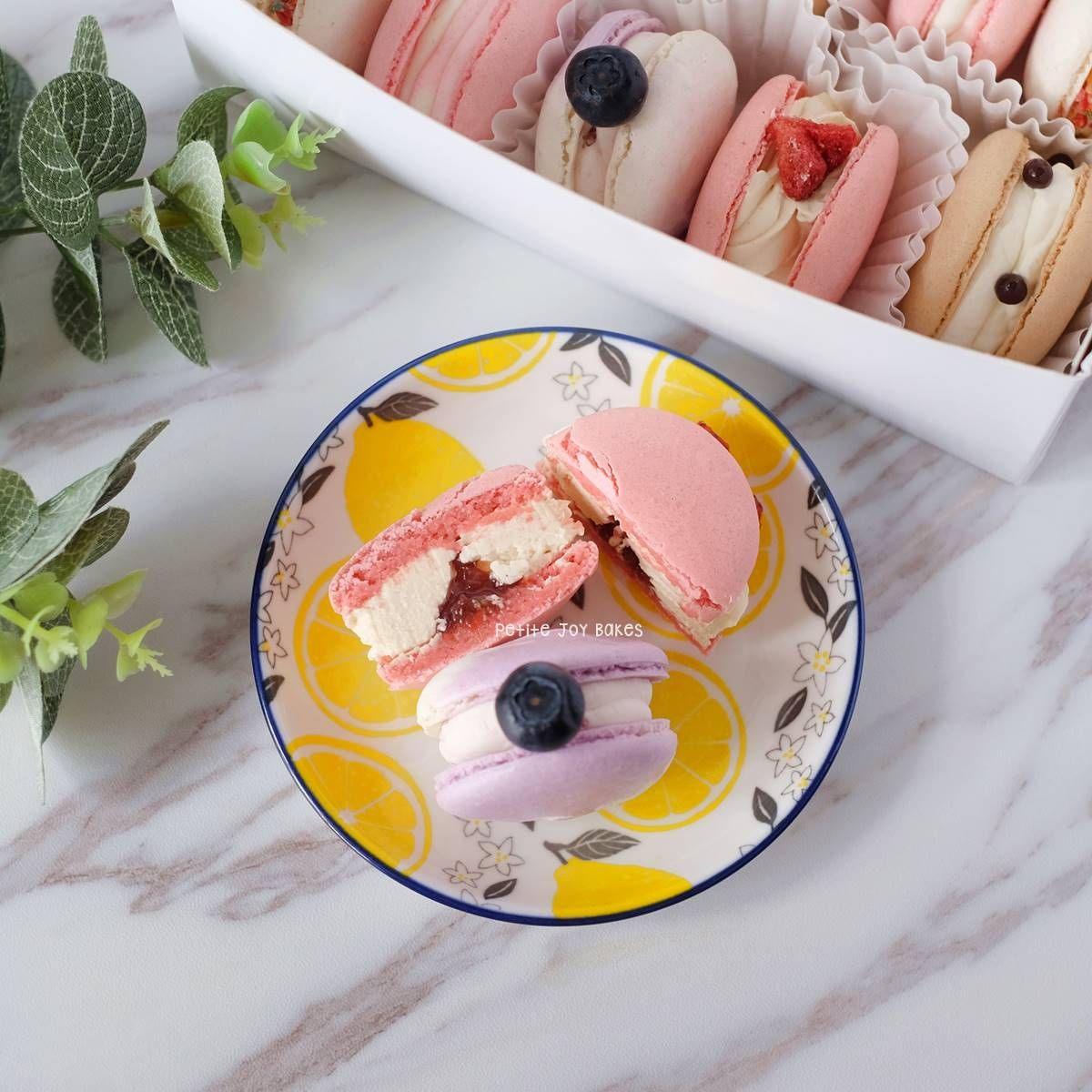 Macaron Box (5 Sets)_1