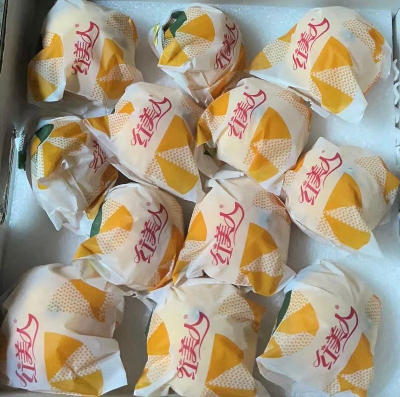 🍊精品红美人 -$24/1箱/~2.5kg_0