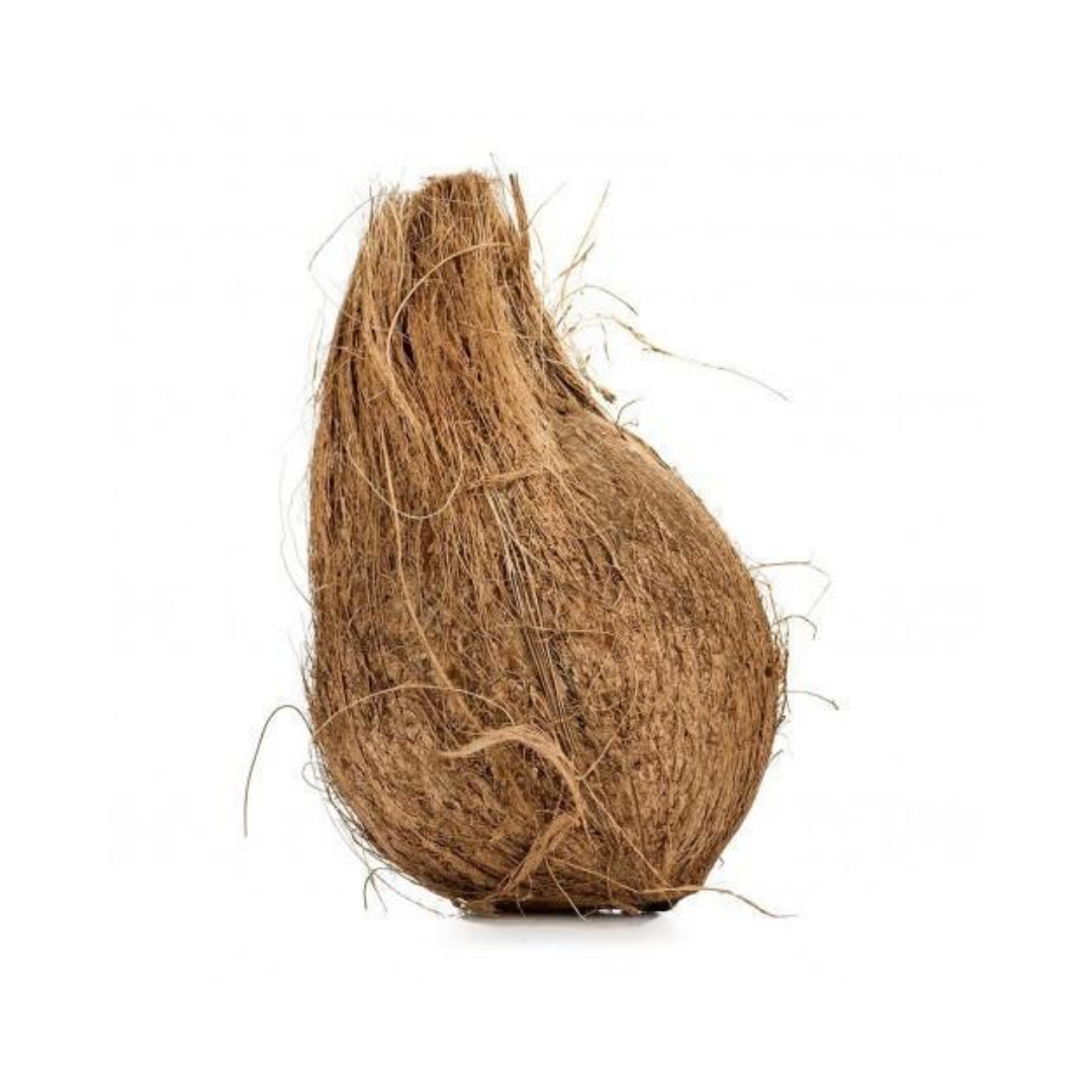 Dry Coconut Whole - 1 PC_0