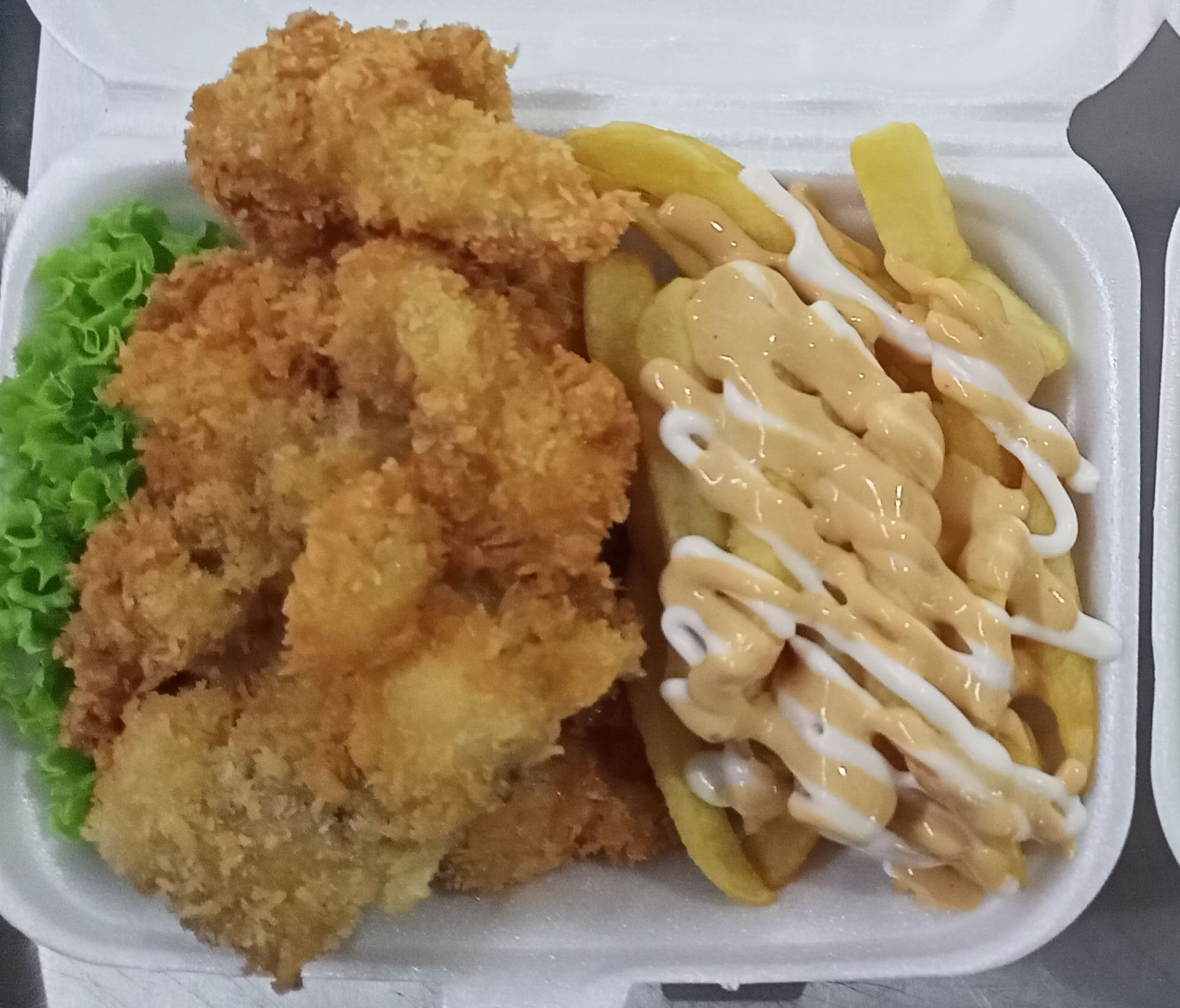 Fried Chicken with fries _0