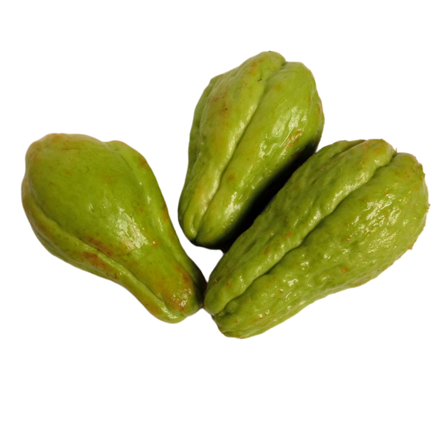 Labu Siam _0