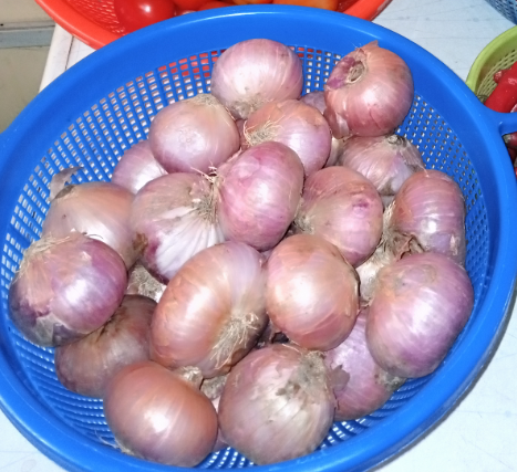 Dry Onions_0