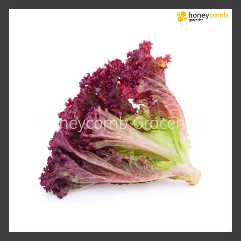 Red Coral Lettuce (200-250g)_0