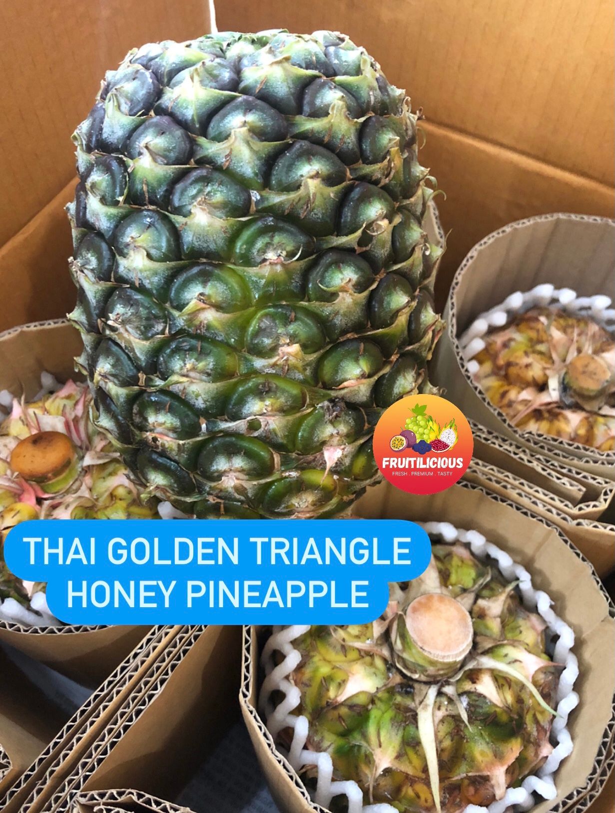 THAI GOLDEN TRIANGLE 金山角 PINEAPPLE (S)_1