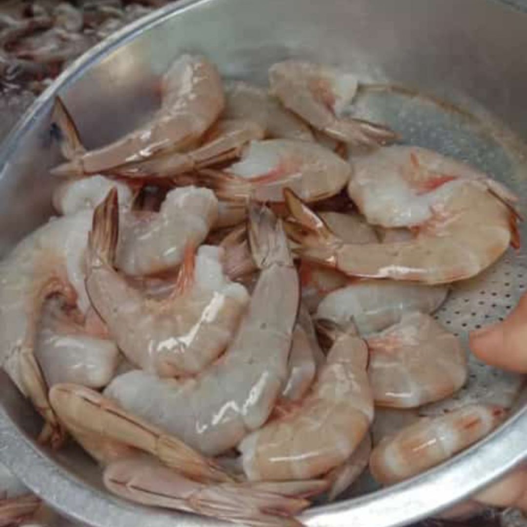 Udang Bintuni _0