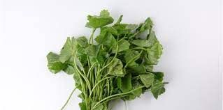 Ulam_2