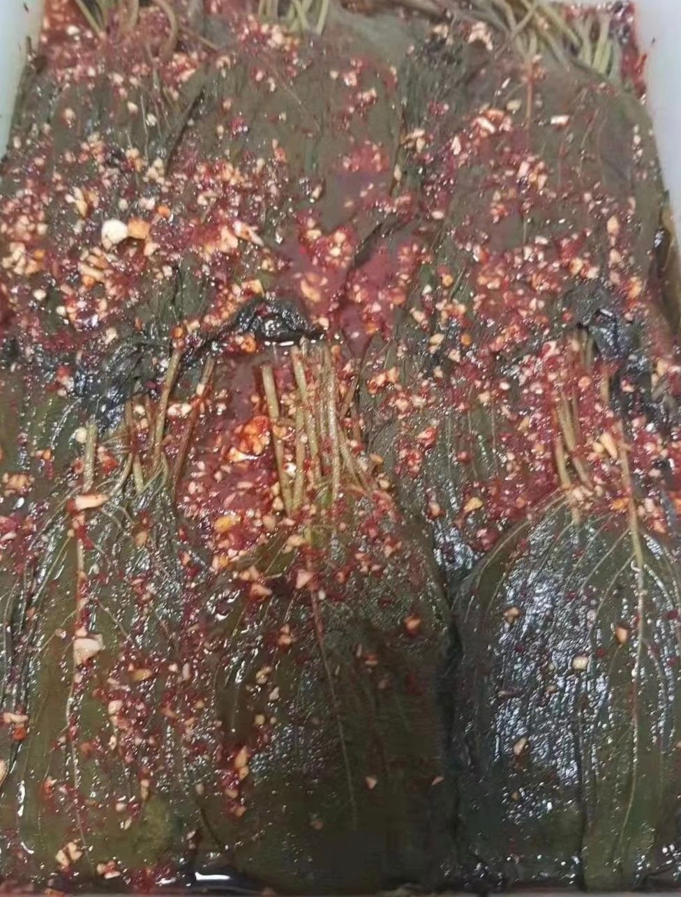 苏子叶 -$8/1罐/450g_0