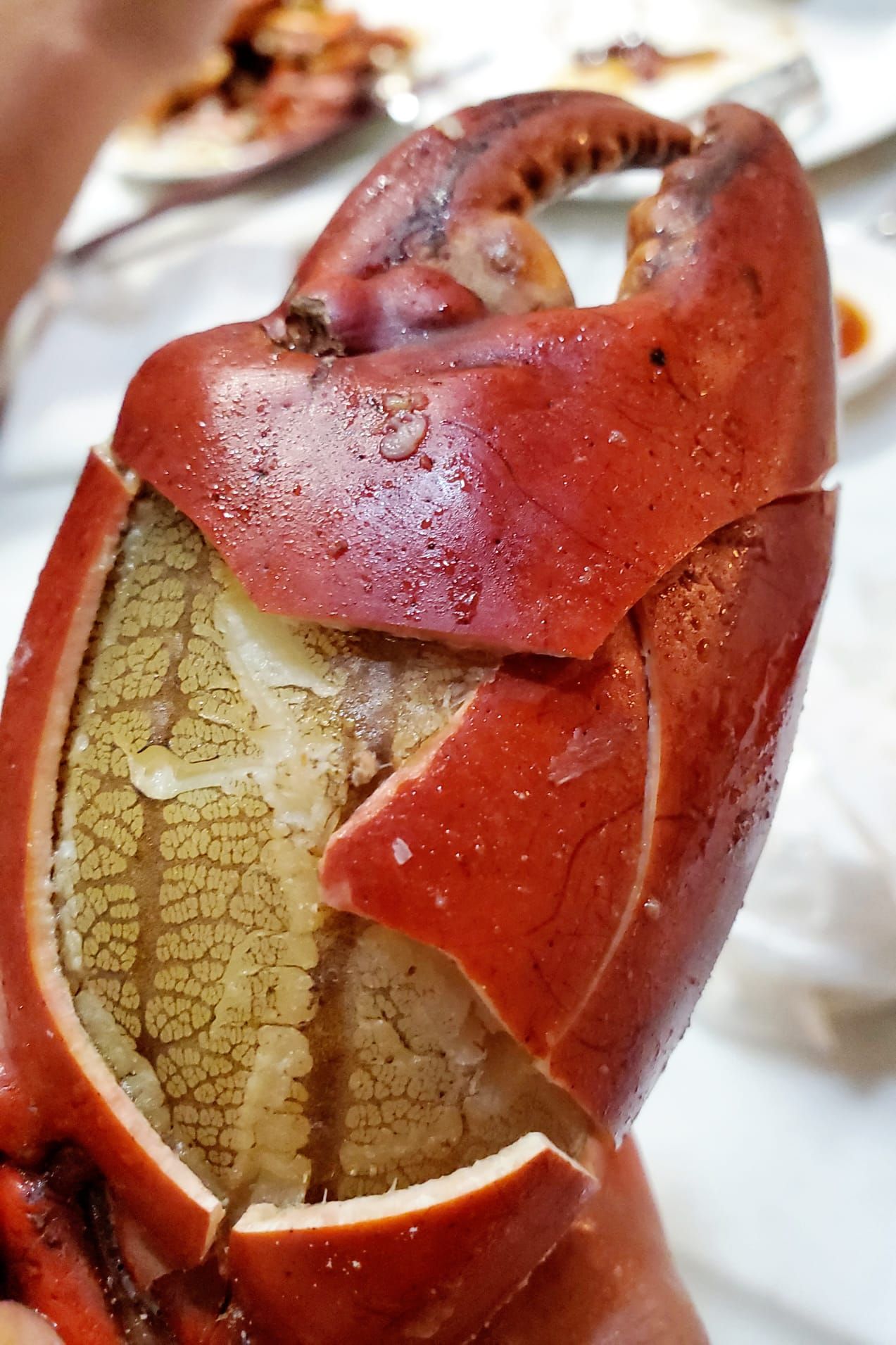  清蒸螃蟹 Live Crab - Steamed_1