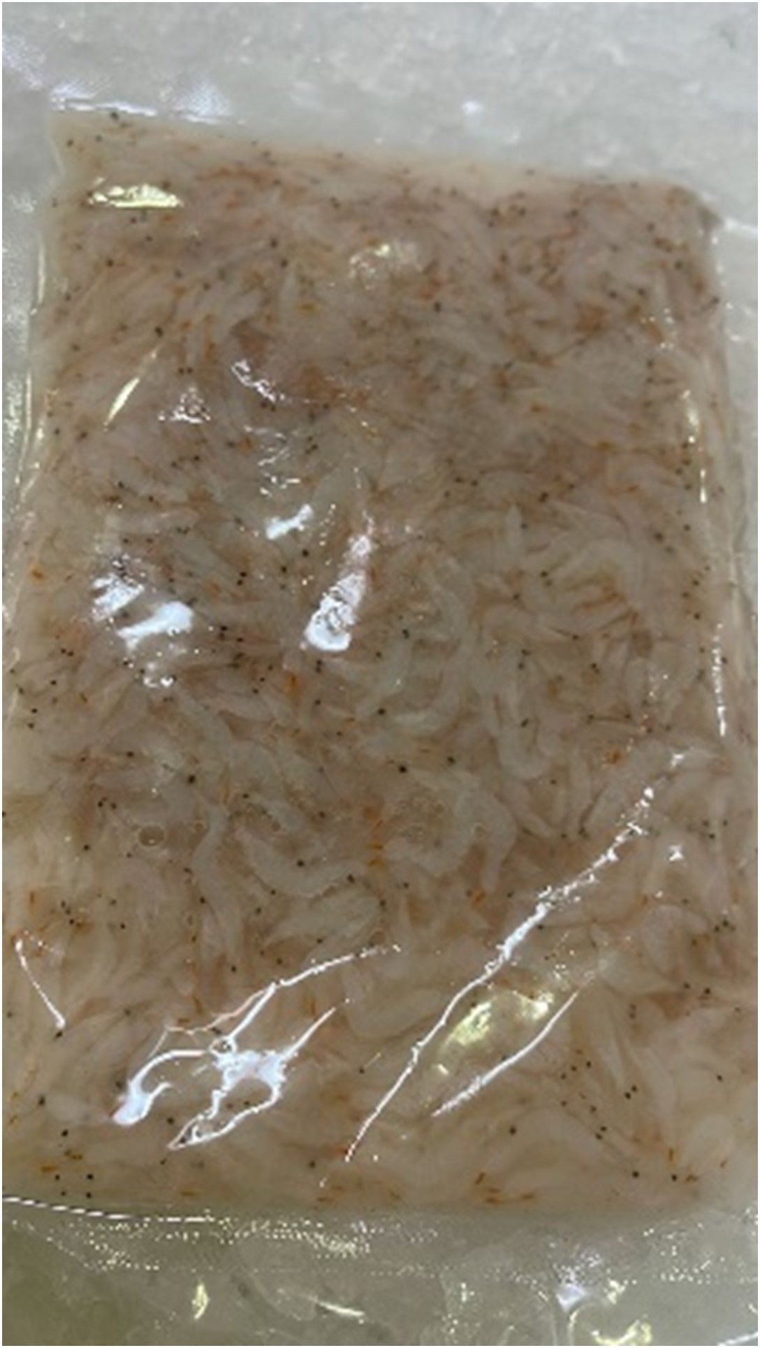 小虾米 Baby Shrimp_0