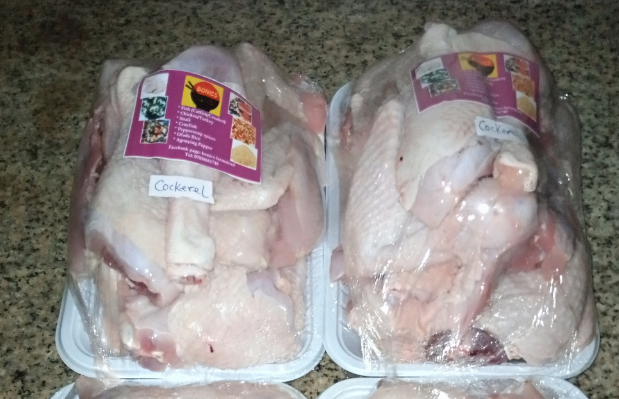 Cockerel chicken_0