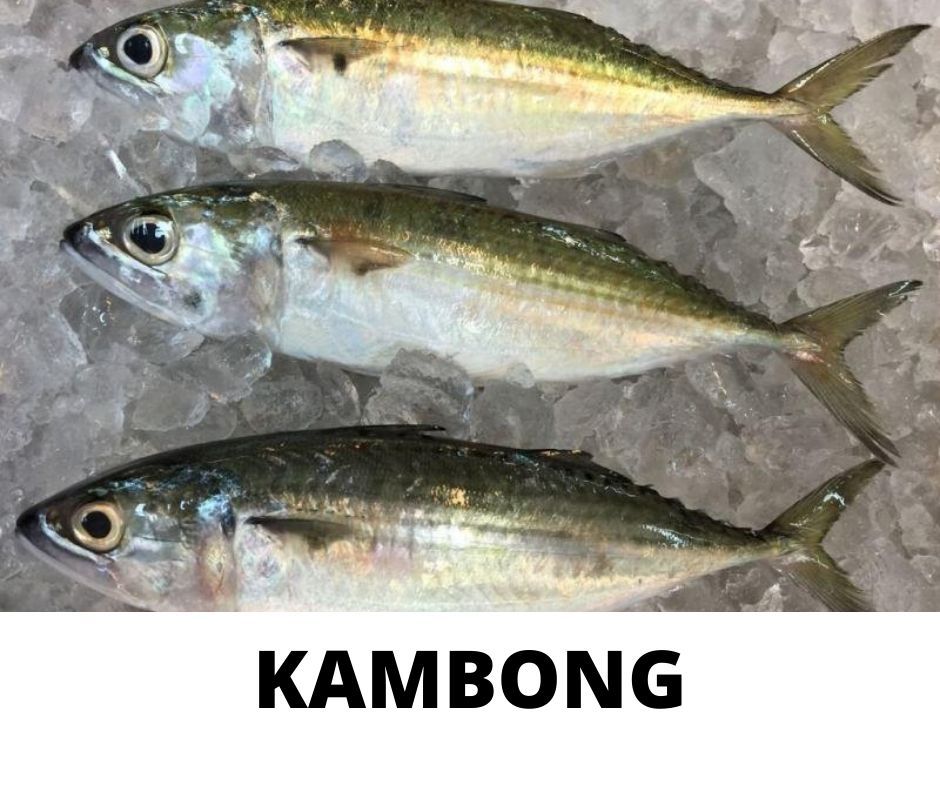 KAMBONG_0