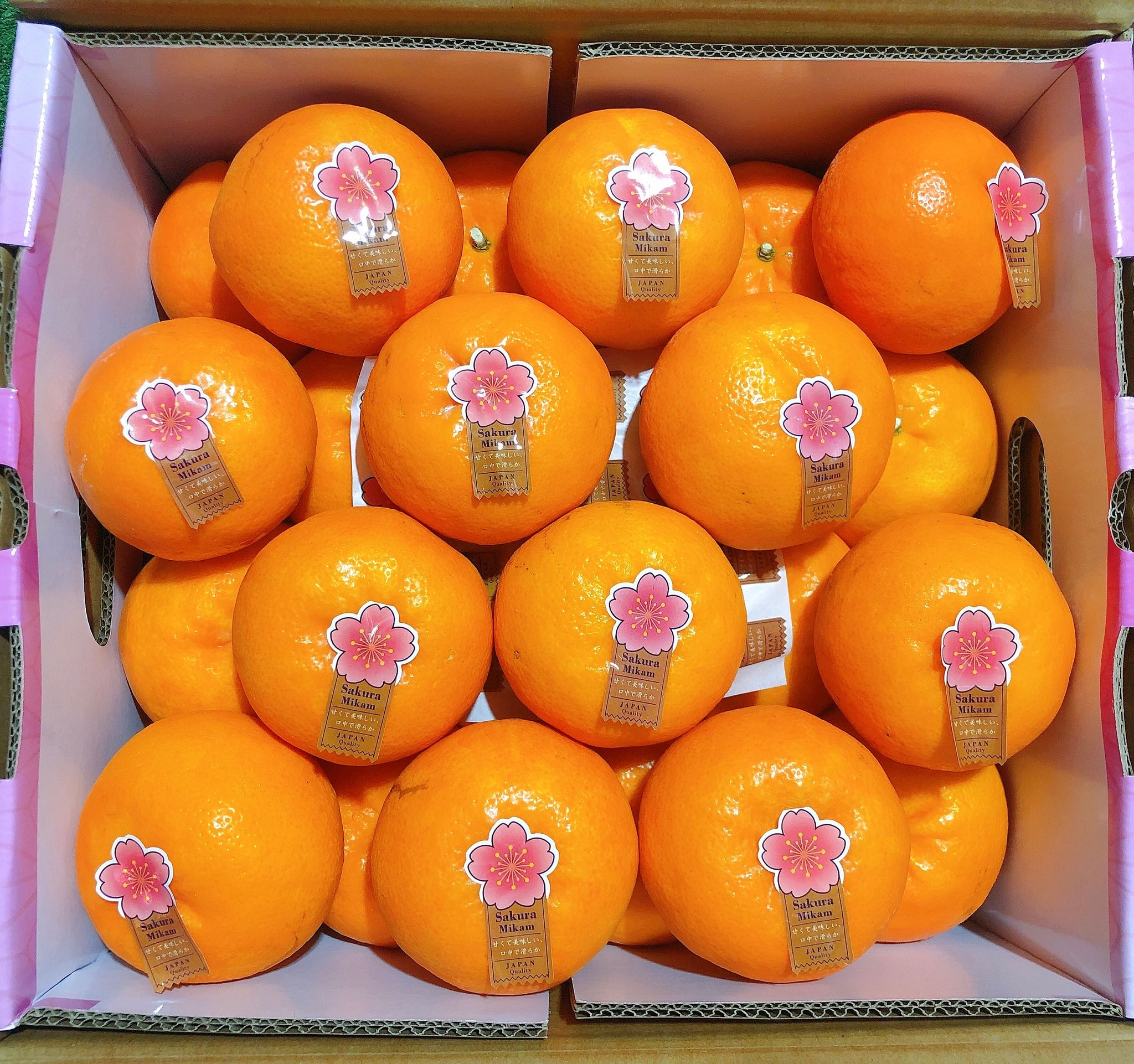 China Sakura Mikan 5KG CNY_0