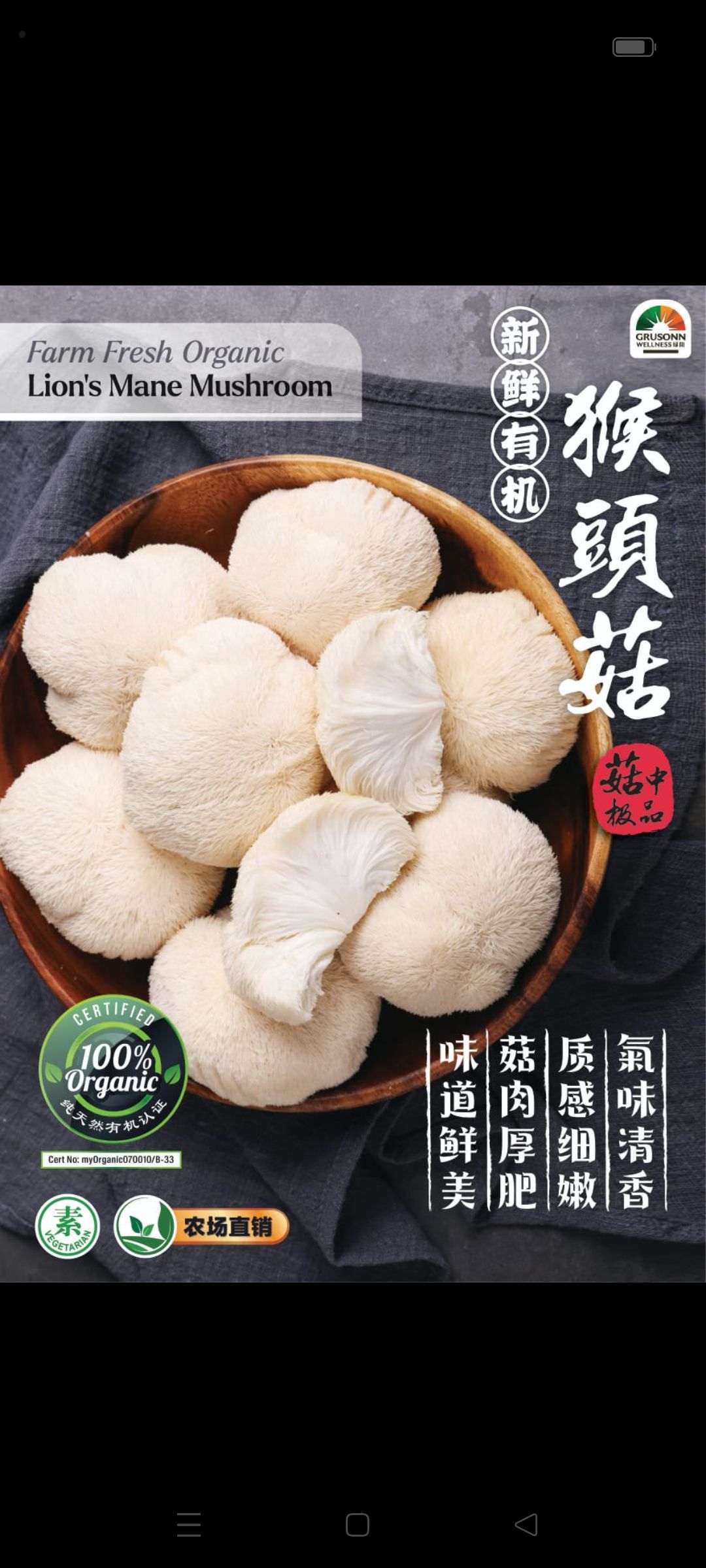 Local organic mushroom _0