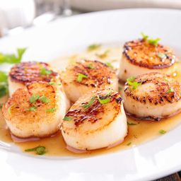 SCALLOP (HABIS)