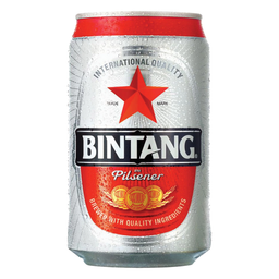 BINTANG KALENG LARGE