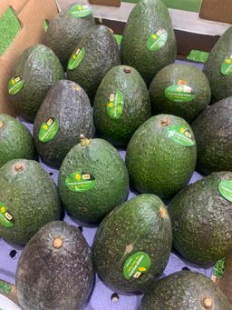 MEX JUMBO HASS AVOCADO (2pc)