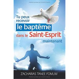 Tu Peux Recevoir Le Baptême Dans Le Saint-Esprit Maintenant
