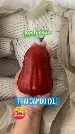 THAI JAMBU (XL)