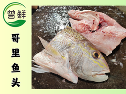 哥里鱼头两片 Snapper Fish Head（2pcs）