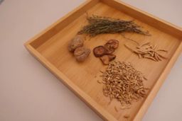 獨腳金麥芽谷牙太子參健脾開胃湯 