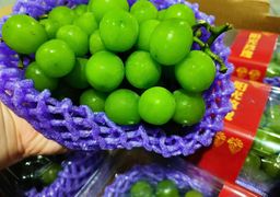 阳光玫瑰葡萄 Summer Rose Grape