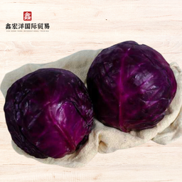 Purple Cabbage 紫包菜 500g