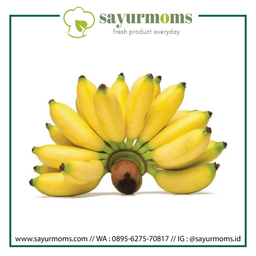 Pisang Mas (? 500 gram)