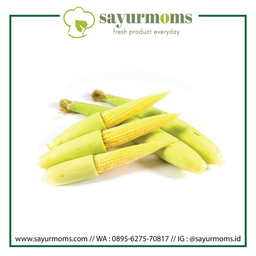 Janten / Jagung Muda 1kg