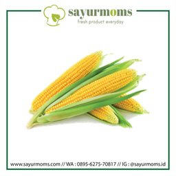 Jagung Pipil Basah 1 kg