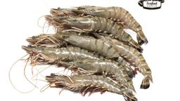 Tiger Prawn, size M, Whole / 500 gr