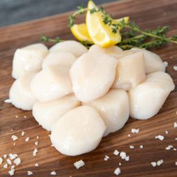 Local Scallops / pack (500 gr)