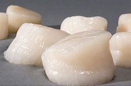 USA Scallops / pack (250 gr)